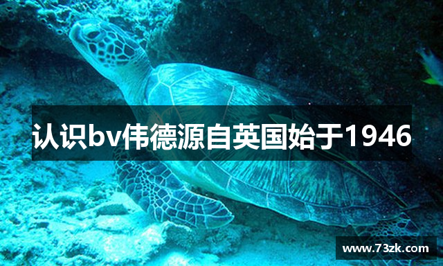 认识bv伟德源自英国始于1946